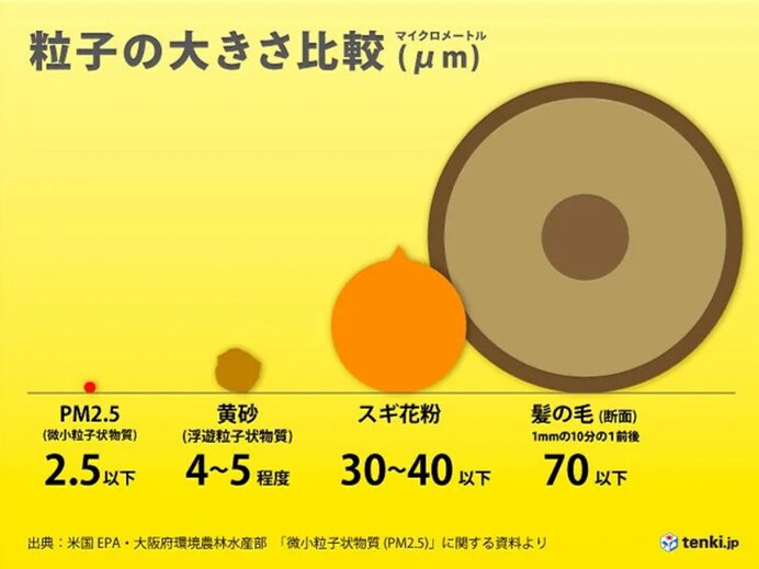 粒子の大きさ
