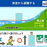 津波観測　石巻港 仙台港で20cm　海岸・河口・山にも近づかないで