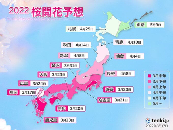 2022年桜開花予想(第6回)発表　この先1週間は桜開花ラッシュ　東京も開花間近