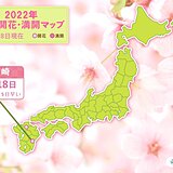 九州南部は暖かな風　宮崎で平年より5日早く桜開花　東京などもまもなく開花