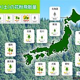 19日(土)花粉情報　スッキリしない天気でも九州北部や四国は「多い」対策は万全に
