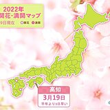 高知で桜が開花　平年より3日早く　昨年より4日遅い