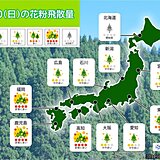 20日　花粉情報　対策必須　九州はヒノキ花粉も飛散