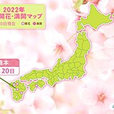 熊本で桜が開花　東京の桜開花もカウントダウン
