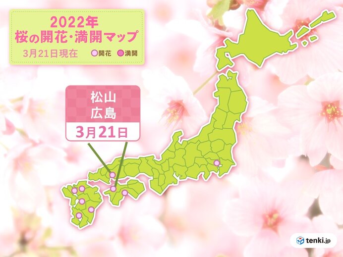 きょう21日　広島と松山でサクラが開花　今週は開花ラッシュか