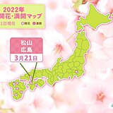 きょう21日　広島と松山でサクラが開花　今週は開花ラッシュか