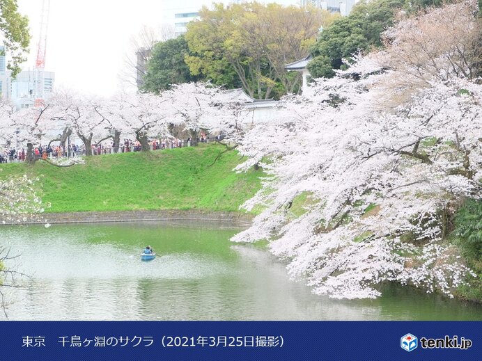 東京　最短記録は3日
