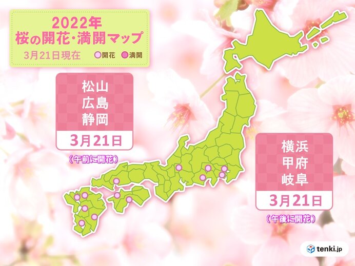 3連休最終日 サクラの開花便り続々 横浜 甲府 岐阜など 今週は開花ラッシュへ 気象予報士 日直主任 22年03月21日 日本気象協会 Tenki Jp