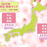 3連休最終日　サクラの開花便り続々　横浜・甲府・岐阜など　今週は開花ラッシュへ