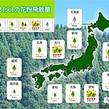 22日(火)の花粉情報　北陸と東海で「非常に多い」　午後は万全の対策を