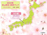 冷たい雨の中、名古屋で桜開花　平年より2日早く　昨年より5日遅い