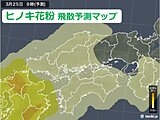 中国地方　ヒノキ花粉も飛び始める　3月下旬はスギとヒノキのダブル飛散に