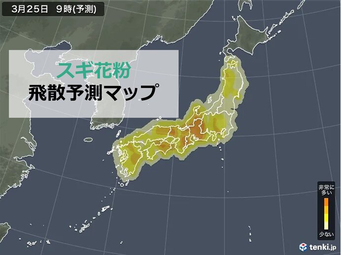 あす25日　花粉飛散量は?