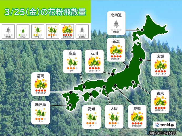 あす25日の花粉情報　九州～東北の所々で「非常に多い」　ピークはいつまで?