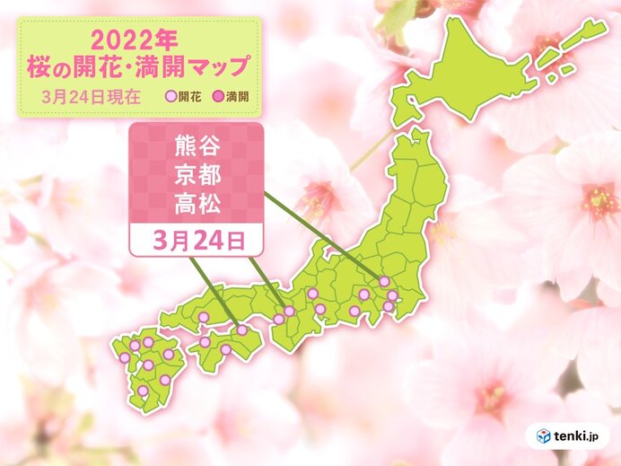 24日木曜　桜が咲き進む暖かさ