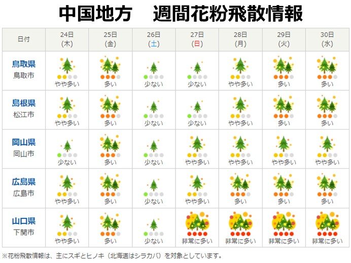 ヒノキ花粉飛散　来週は最盛期へ