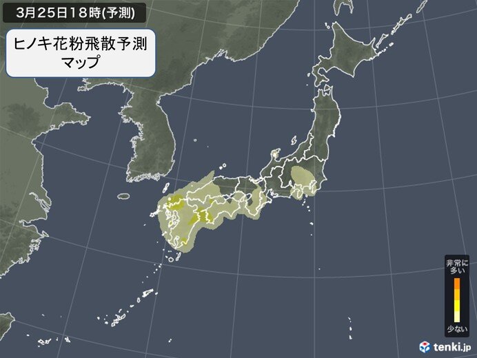 ヒノキ花粉も