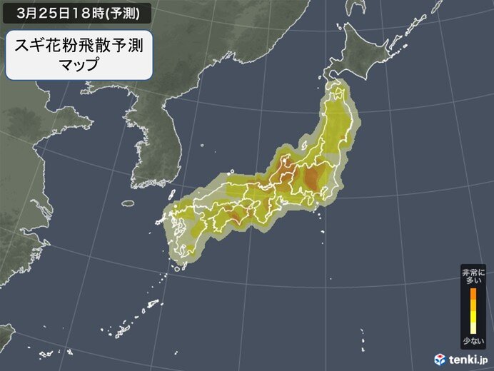 「花粉情報」25日は広くスギ花粉が飛散　九州～関東はヒノキ花粉も　対策を