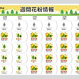 週間花粉情報　来週は東京など「非常に多い」日が続く　スギだけでなくヒノキの対策も