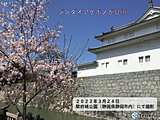 東海地方　3月最後の土日　26日は雨・風強まる　27日は晴れて初夏の陽気の所も