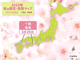 徳島と下関で桜が開花　今年これまでの桜開花は　平年より早い所がほとんど