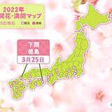徳島と下関で桜が開花　今年これまでの桜開花は　平年より早い所がほとんど