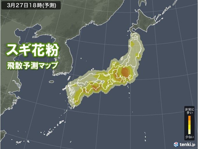 あす日曜日　花粉が増える条件(雨上がり+気温上昇+強風)そろう