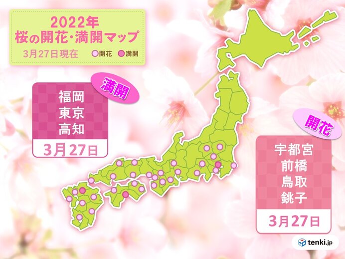 27日　桜の開花・満開の便り続々　福岡・東京・高知で満開　今週は満開ラッシュへ