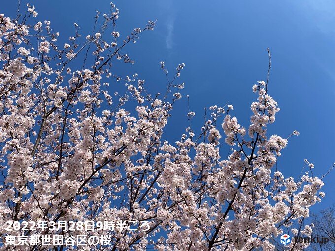 この先は花曇りが多い
