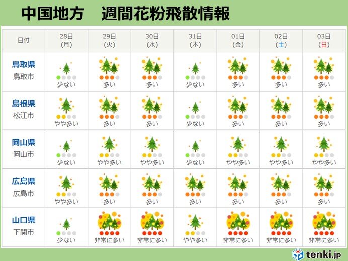 ヒノキ花粉の飛散がピークに