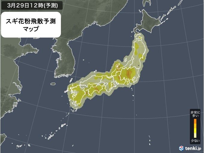 花粉週間予報 4月初めも関東 北陸 東北は連日 非常に多い ヒノキ花粉にも注意 気象予報士 石榑 亜紀子 22年03月28日 日本気象協会 Tenki Jp