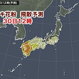 花粉情報　30日(水)は九州～東北まで広く「非常に多い」　ヒノキ花粉本格化も