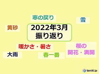 桜 前線 2022 満開