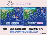 九州　31日前線南下で桜雨　雨の後は「花冷え」　気温変化に注意