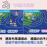 九州　31日前線南下で桜雨　雨の後は「花冷え」　気温変化に注意