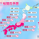 2022年桜開花予想(第8回)　東京は今週末まで満開　桜前線は平年より早く東北へ