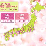 桜の便りが続々と　福井と彦根で開花　松江と奈良では満開に