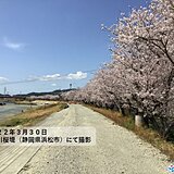 東海地方　各地で桜満開　静岡では今年3回目の夏日　4月のスタートは「花冷え」