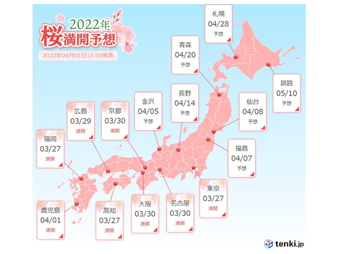 この週末　桜が見ごろの所は?