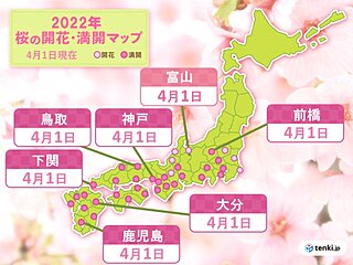 新年度を飾る桜の便り　富山で開花　鹿児島・大分・下関・鳥取・神戸・前橋で満開