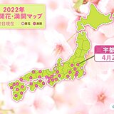 関東の桜　都心周辺はこの土日で見納めか　北部は一番の見ごろ　きょうは宇都宮で満開
