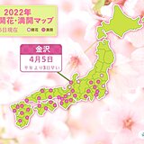 金沢で桜満開　山形で梅開花　桜前線・梅前線ともに着実に北上中