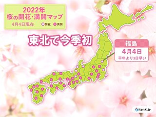 桜前線みちのく入り　東北で今季初　福島で桜開花　平年より3日早い