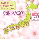 桜前線みちのく入り　東北で今季初　福島で桜開花　平年より3日早い