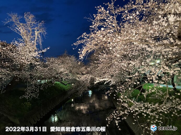 夜桜とISS　楽しめる所も