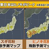 花粉情報　九州～関東はヒノキがピーク　東北はスギが大量飛散　ピークいつまで