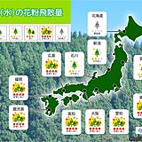 6日(水)の花粉情報　九州から関東は「非常に多い」ヒノキ花粉が大量飛散の所も
