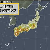 7日　九州～関東はヒノキの花粉が「非常に多い」