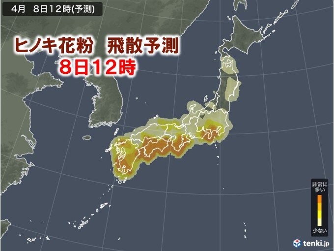 ヒノキ花粉に敏感な方は注意
