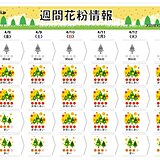 花粉週間　広範囲で「非常に多い」　関東などヒノキ花粉増加　4月中旬にかけてピーク